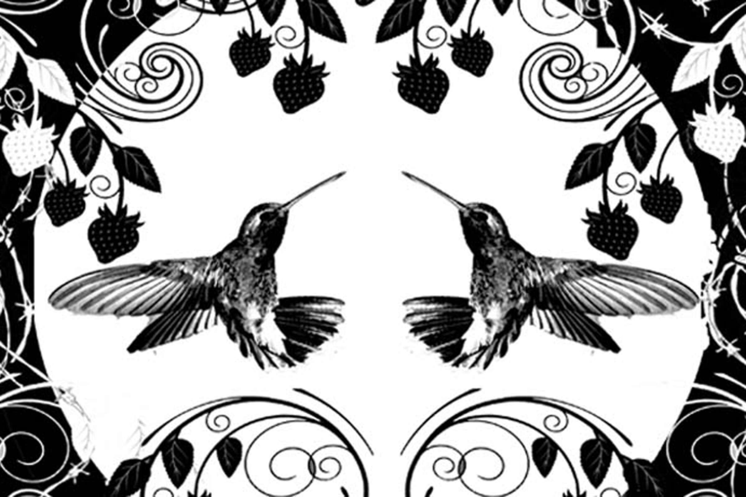 A black and white illustration featuring two hummingbirds facing each other in the center, surrounded by swirling vine patterns, strawberries, and leaves. The design is symmetrical and ornate.