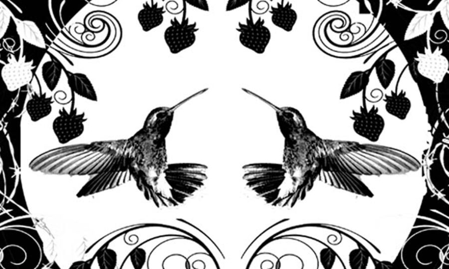 A black and white illustration featuring two hummingbirds facing each other in the center, surrounded by swirling vine patterns, strawberries, and leaves. The design is symmetrical and ornate.