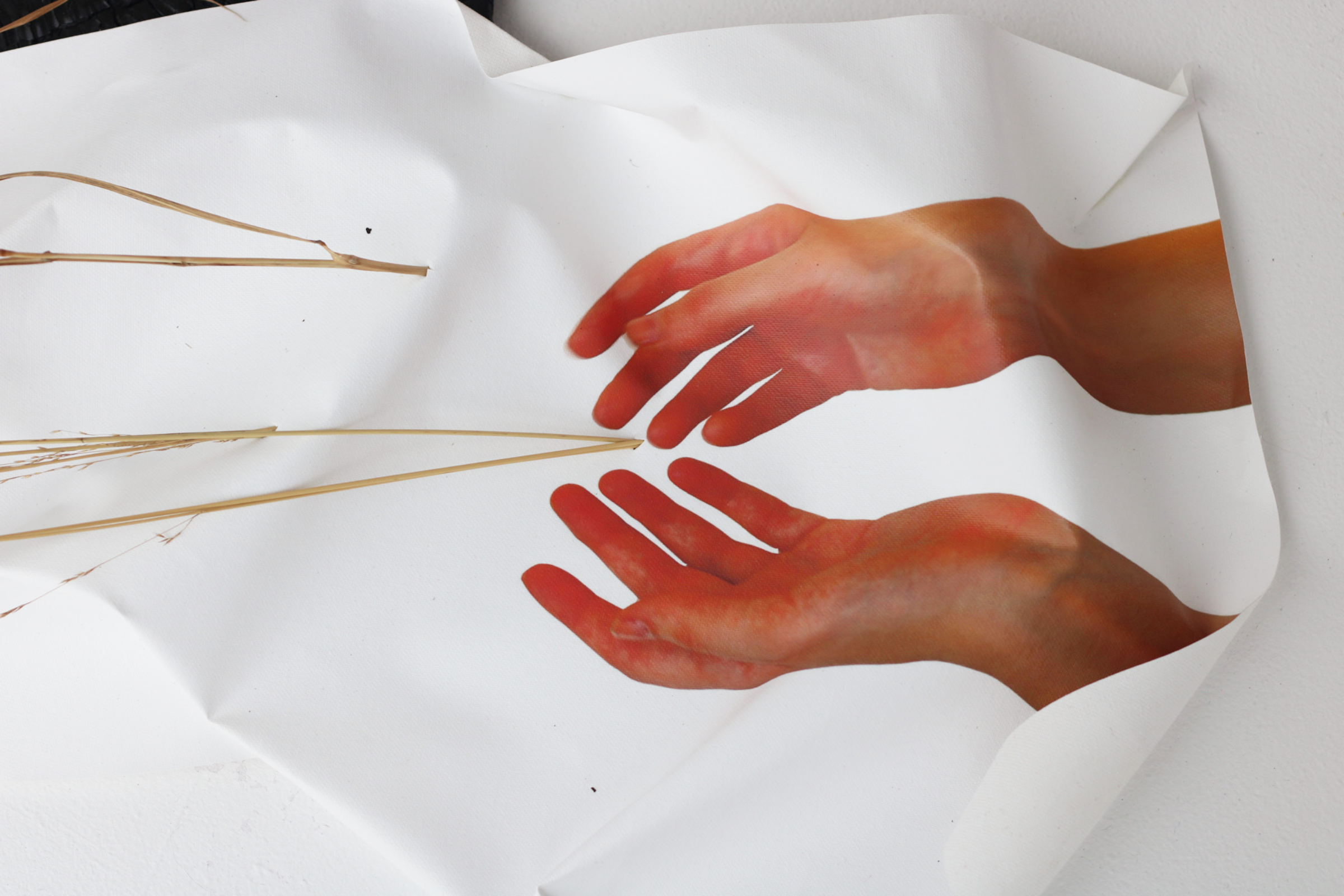 A piece of white paper appears wrinkled with a printed image of two hands reaching toward each other. A thin, dried plant stem is placed on top of the paper, crossing over the hands. The scene is set against a white background.