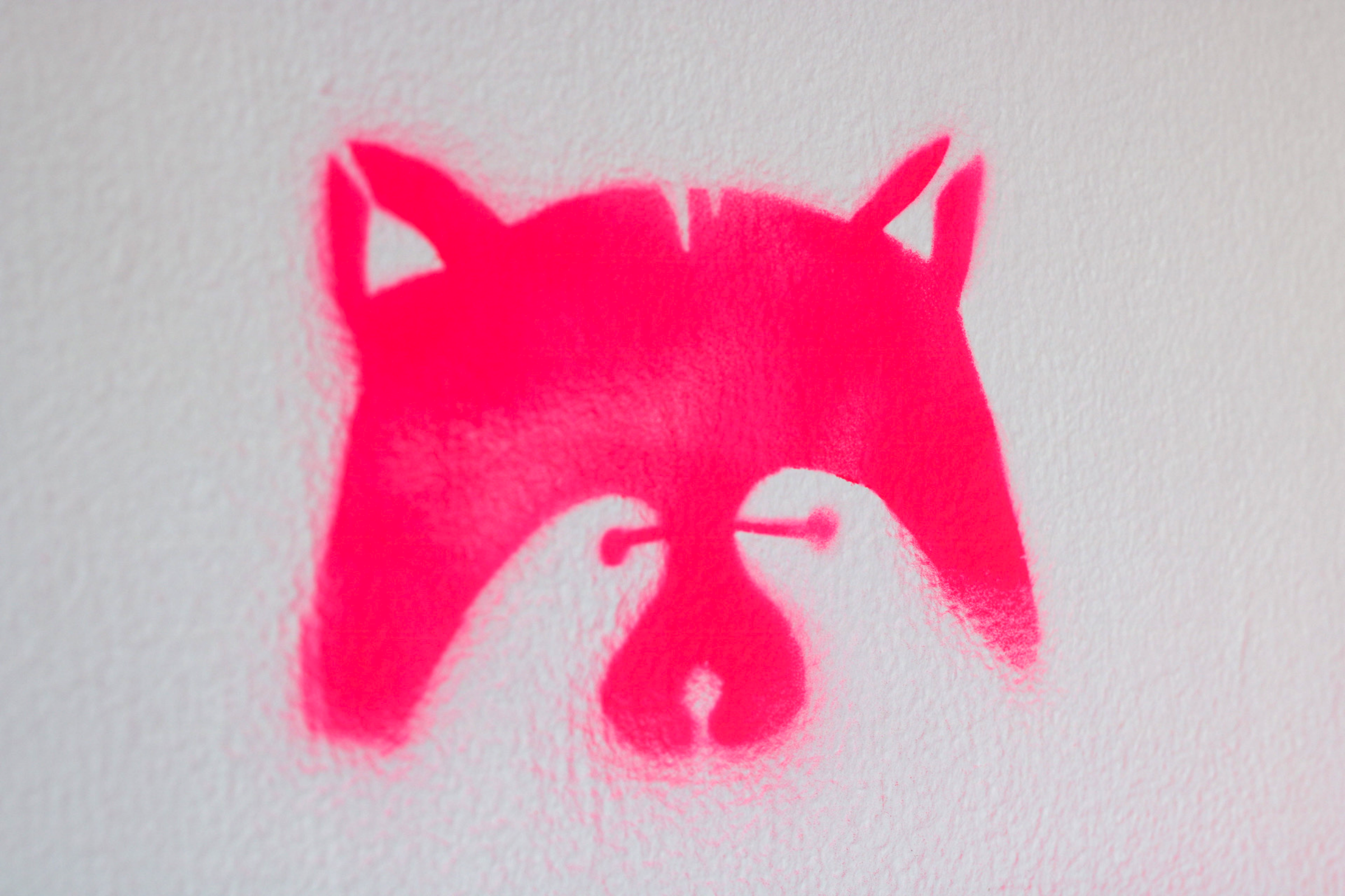 A stencil graffiti image of a raccoon's face in bright pink spray paint on a white wall. The artwork shows the raccoon's ears, eyes, and nose, creating a minimalist and stylized representation.