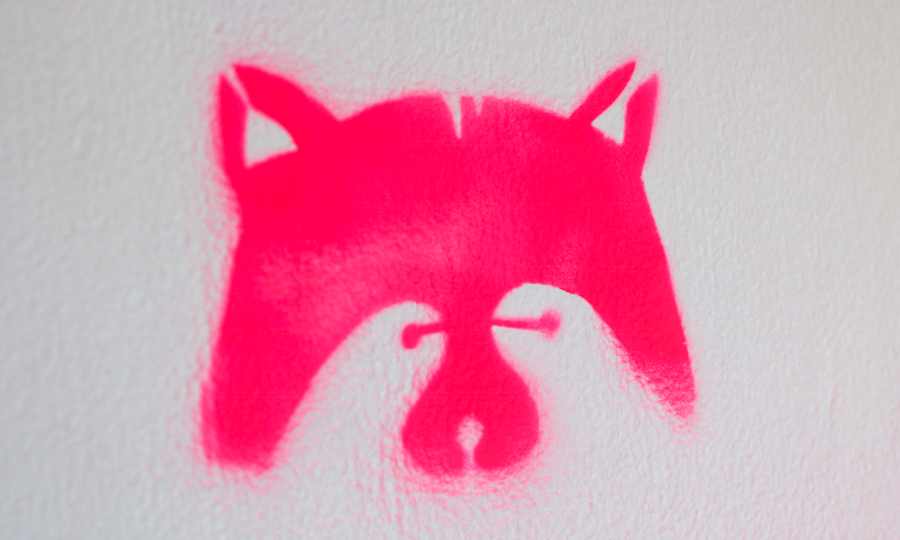 A stencil graffiti image of a raccoon's face in bright pink spray paint on a white wall. The artwork shows the raccoon's ears, eyes, and nose, creating a minimalist and stylized representation.